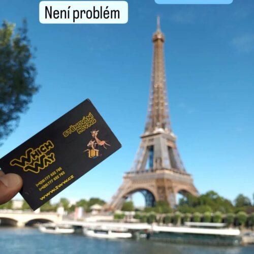 Mezinárodní stěhování do zahraničí