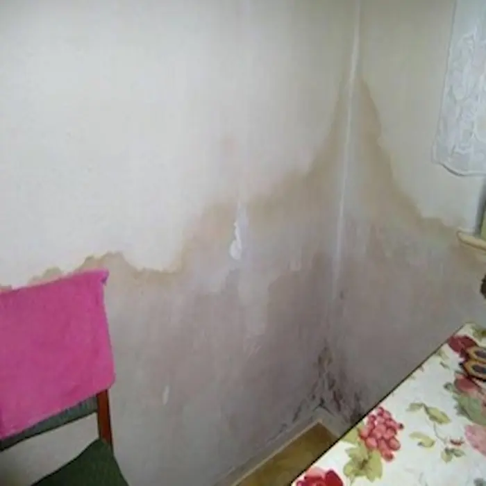 WhichWay - Sanace vlhkého zdiva